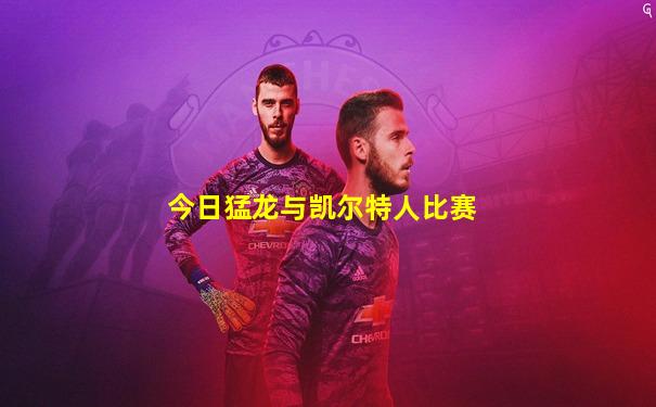 今日猛龙与凯尔特人比赛
