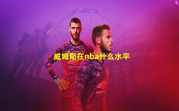 威姆斯在nba什么水平