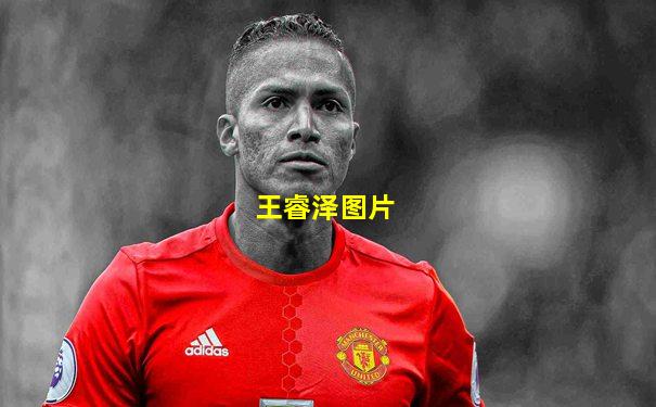 王睿泽图片